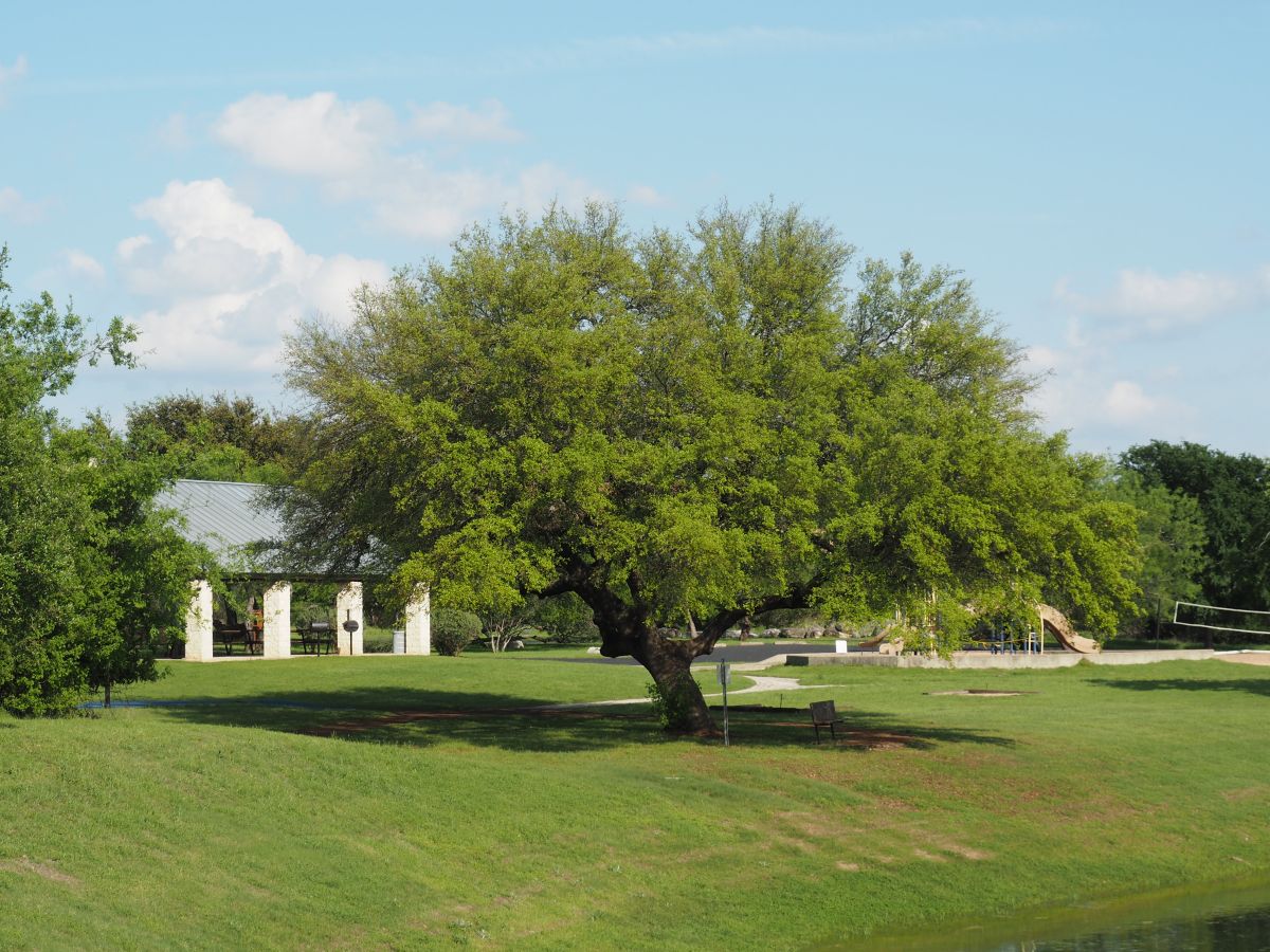 Double Horn Pavillion